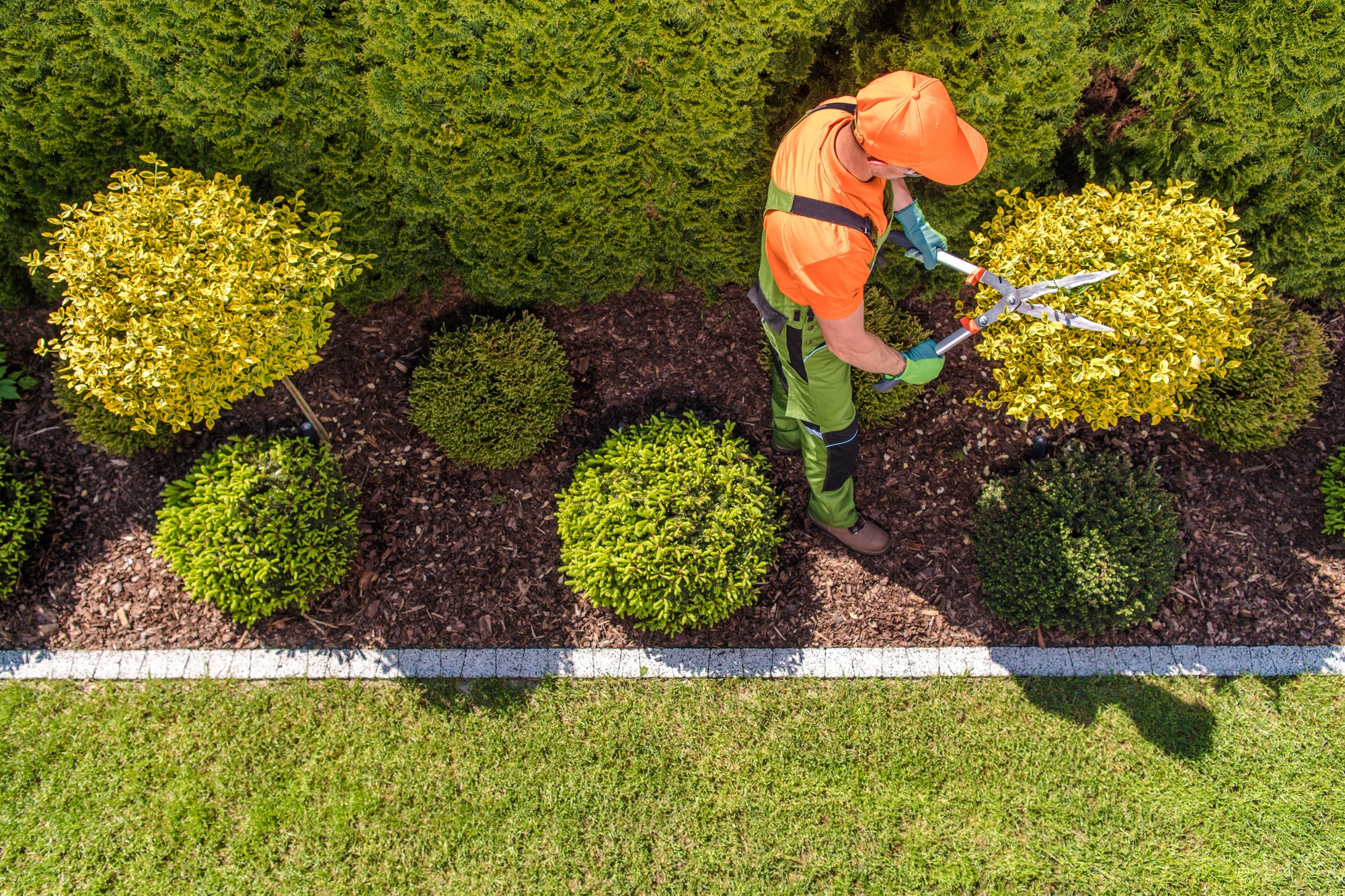 professional-gardener-at-work